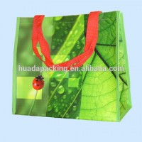 Supermarket Fruit Pp Woven Lamination Shopping Bag Recycled Promotional Bags